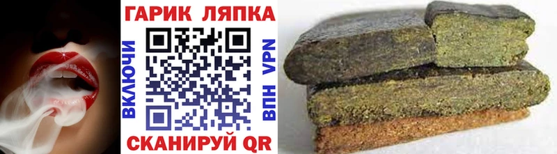 купить   Заозёрск  ГАШ Изолятор 