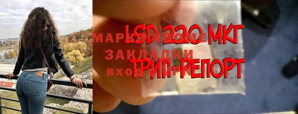прущие крисы Аркадак