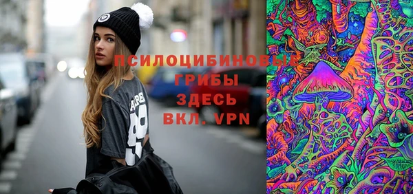 ГАЛЛЮЦИНОГЕННЫЕ ГРИБЫ Балахна
