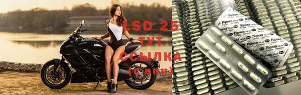 шишки Инта